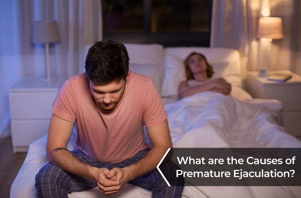Sexual Problems in Men Sexual Problems in Men